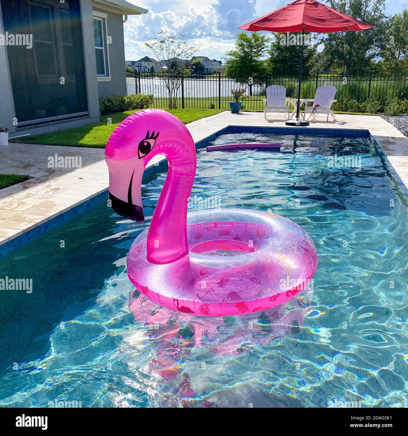 Un flamenco rosa flotando en una piscina en el patio trasero un soleado día  de verano Fotografía de stock - Alamy