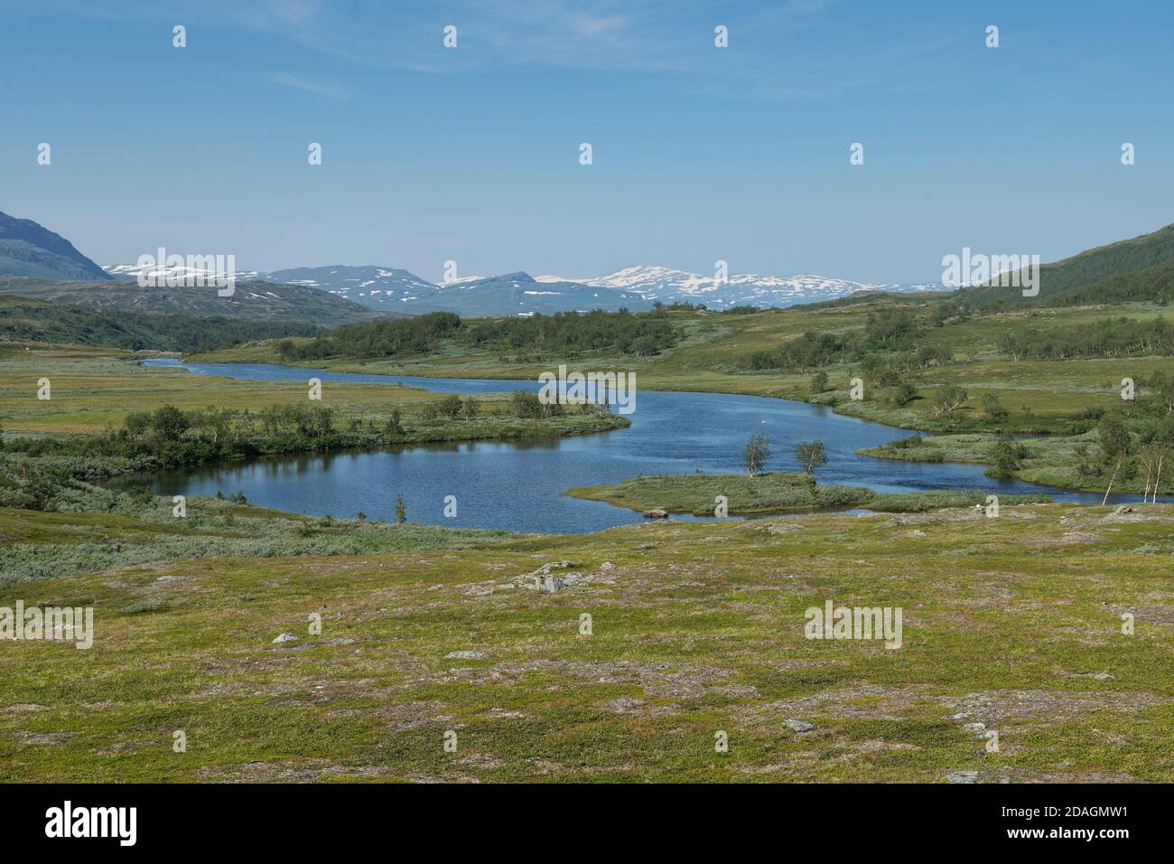 Vista sobre el lago Gieddavrre a lo largo de la ruta Paddelantaleden en el parque nacional Paddelanta, Laponia, Suecia Foto de stock