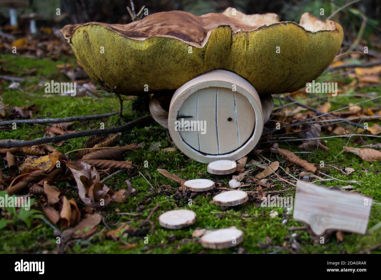 Casa de hadas construida en un cep (Boletus edulis) con signo de madera en blanco Foto de stock