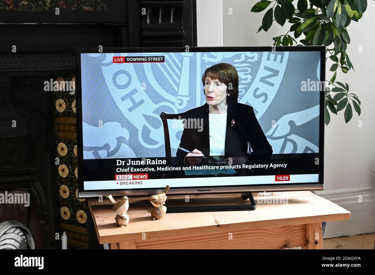 Sesión informativa televisada con June Raine, Jefe Ejecutivo. Agencia reguladora de medicamentos y productos sanitarios, anunciando la nueva vacuna contra el coronavirus. Foto de stock