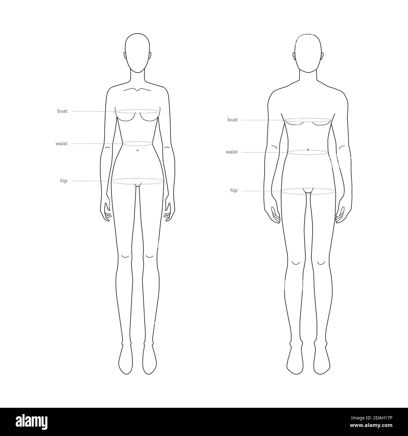Hombres y mujeres estándar partes del cuerpo terminología medidas  Ilustración para la producción de ropa y accesorios moda 9 cabeza macho y  hembra cuadro de tallas. Plantilla infográfica del cuerpo humano Imagen