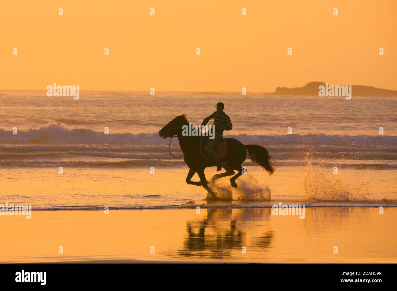 Hombre montando a caballo en la playa al atardecer, Essaouira, Marruecos Foto de stock