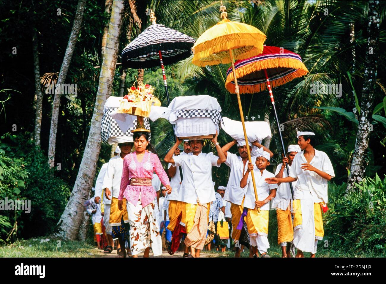 Procesión tradicional balinesa. Las personas vestidas con sarongs llevan ofrendas en la cabeza bajo grandes sombrillas tradicionales durante una celebración en Ubud, Indonesia Foto de stock