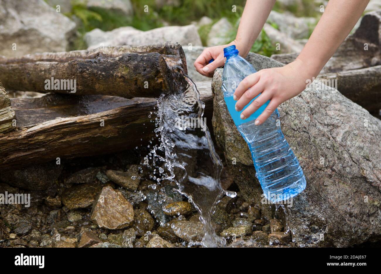 Tomando agua de manantial de un manantial de montaña. Relleno de agua de botella de plástico, fuente de agua pura natural. Foto de stock