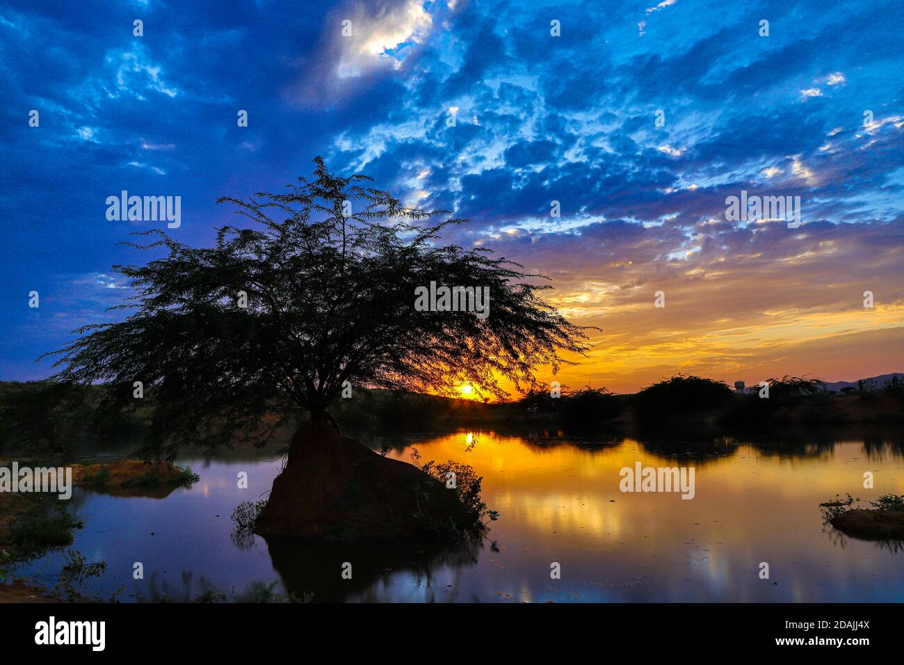 hermosa puesta de sol vívida a la hora azul y el reflejo de los árboles y las nubes en el estanque de agua. Foto de stock