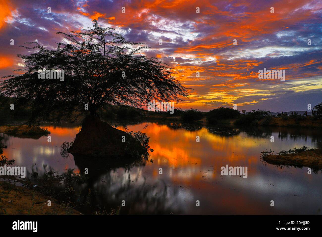 hermosa puesta de sol vívida a la hora de oro y el reflejo del árbol y la nube en el estanque de agua. Foto de stock