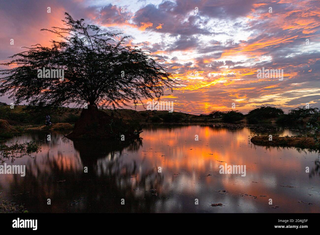 hermosa puesta de sol vívida a la hora de oro y el reflejo de los árboles y las nubes en el estanque de agua. Foto de stock