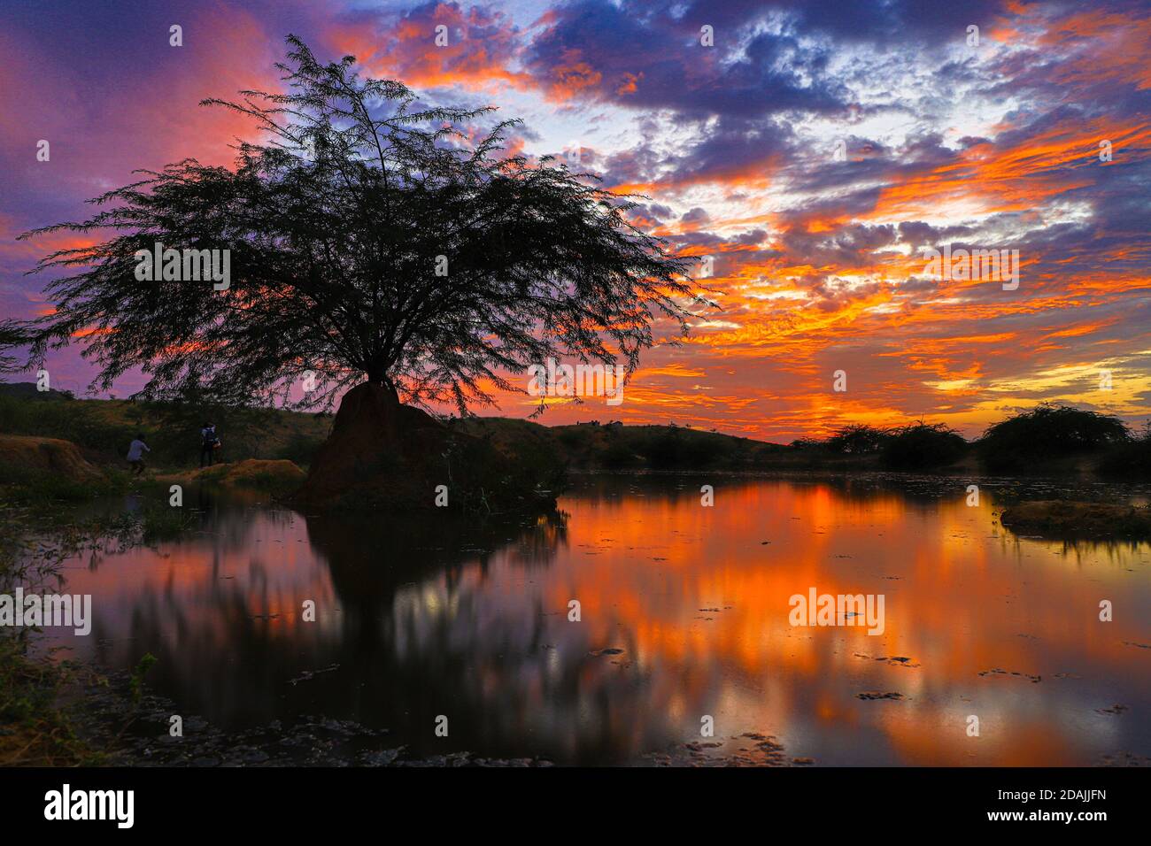 hermosa puesta de sol vívida a la hora de oro y el reflejo de los árboles y las nubes en el estanque de agua. Foto de stock