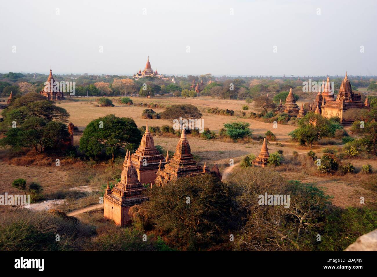 La hermosa y polvorienta llanura de Bagan salpicada de cientos de budistas Templos en Bagan Myanmar Foto de stock
