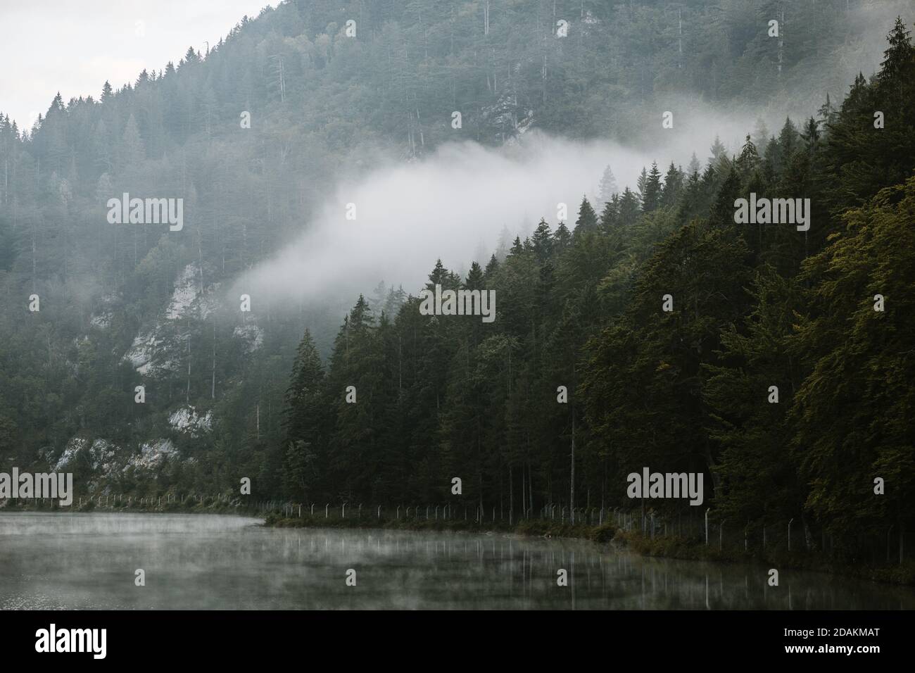 Niebla a primera hora de la mañana en el lago de montaña Foto de stock