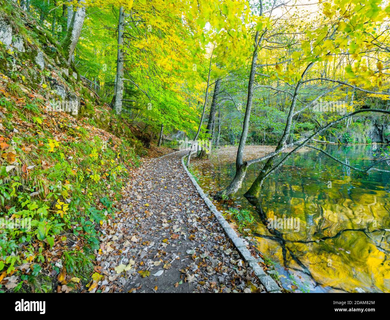 Impresionantes lagos de Plitvice parque nacional en Croacia Europa tranquilidad tranquilo, suave, zen, espléndido, precioso, idílicos colores vibrantes Foto de stock