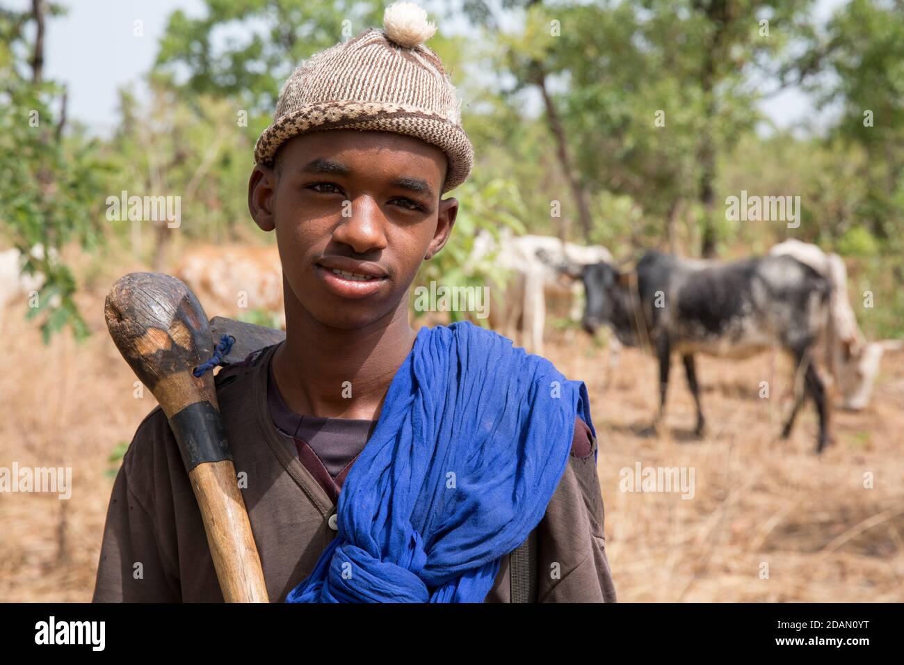 Selingue, Malí, 28th de abril de 2015; Boya Diallo, 18, El pastor Fulani (con sombrero) con Abdou Diarra, 17. Ambos vinieron de Fana a Faraba, una distancia de Foto de stock