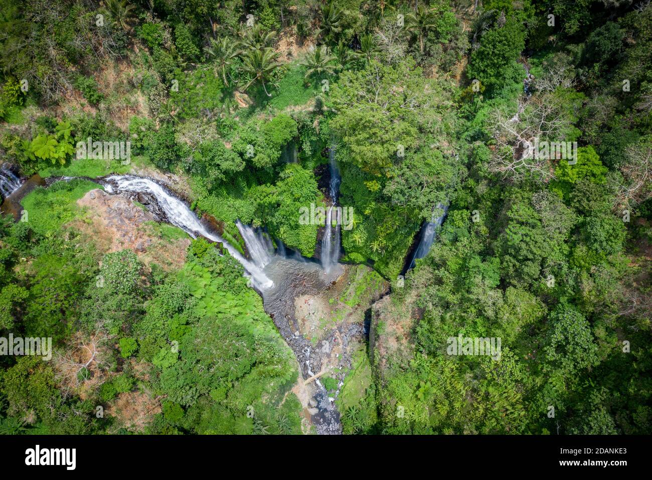 vista aérea sobre la cascada en la selva de bali Foto de stock