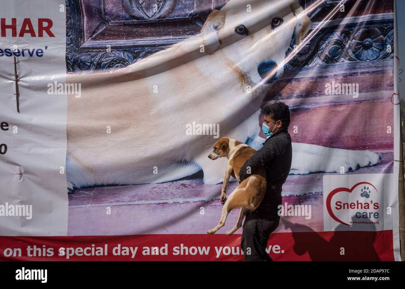 Katmandú, Nepal. 14 de noviembre de 2020. Un miembro del personal de un  centro de cuidado de perros llevando un perro para realizar puja durante el  festival Kukkur Tihar.Tihar es un festival