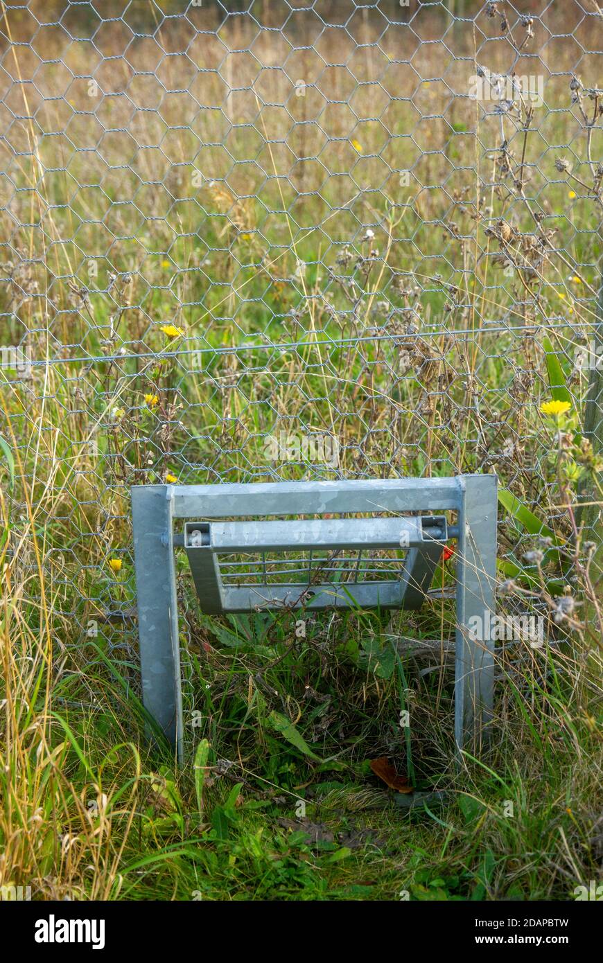 Puerta de tejón de vida silvestre en 800 Wood Madingley Cambridge Foto de stock