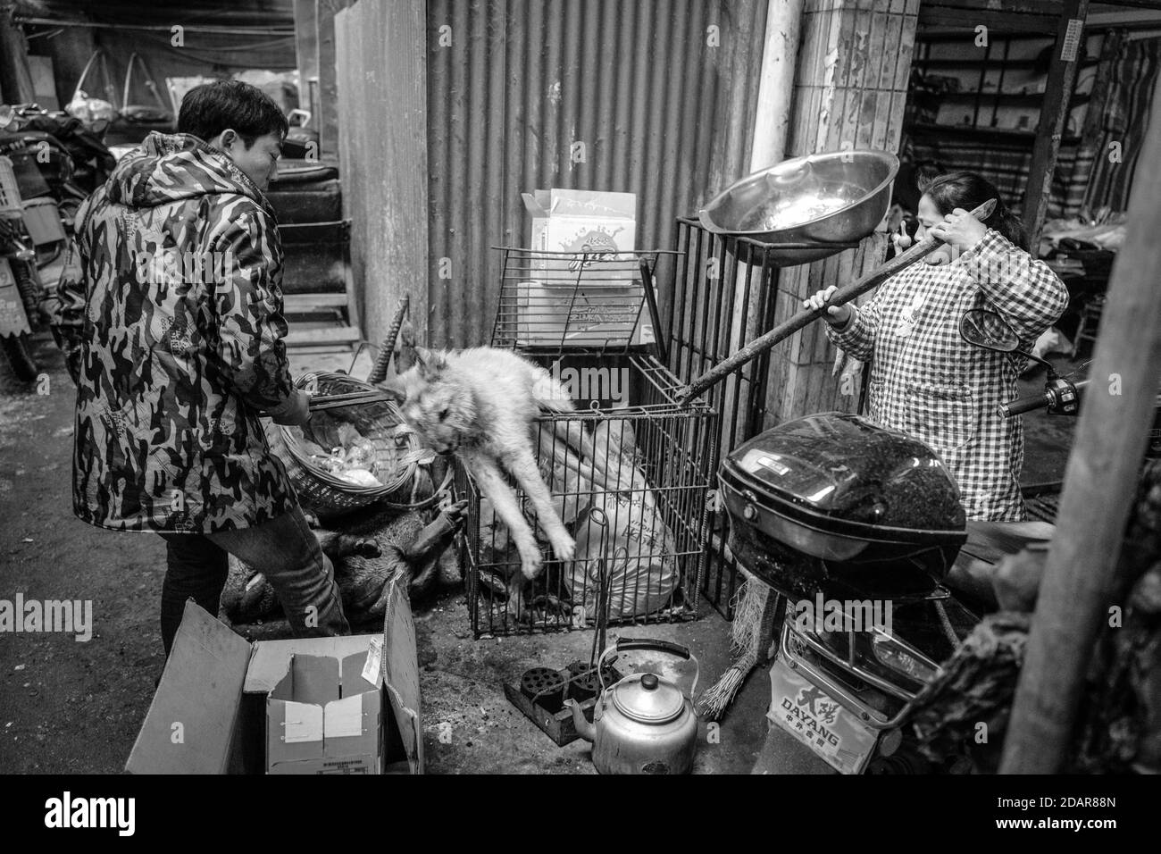 Carniceros seleccionan un perro para un cliente de una jaula, en un mercado tradicional en Zhangjiajie, China Foto de stock