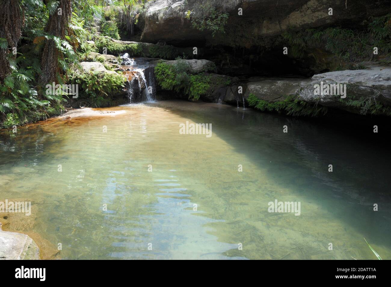 Una cascada alimentaba una piscina natural en el Parque Nacional de Isalo, Madagascar Foto de stock