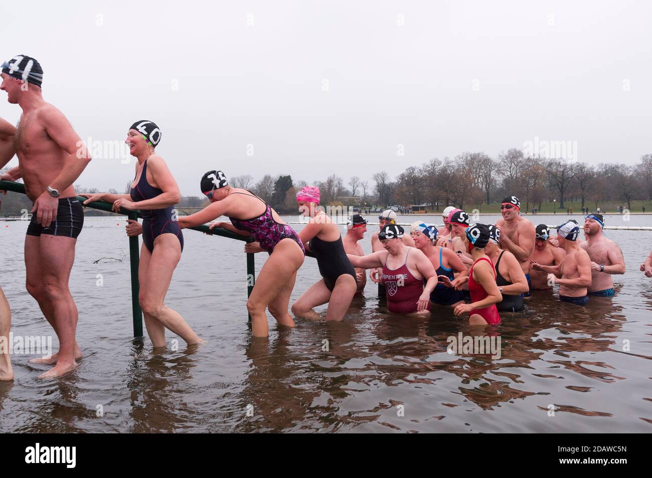 Peter pan cup imágenes alta - Alamy