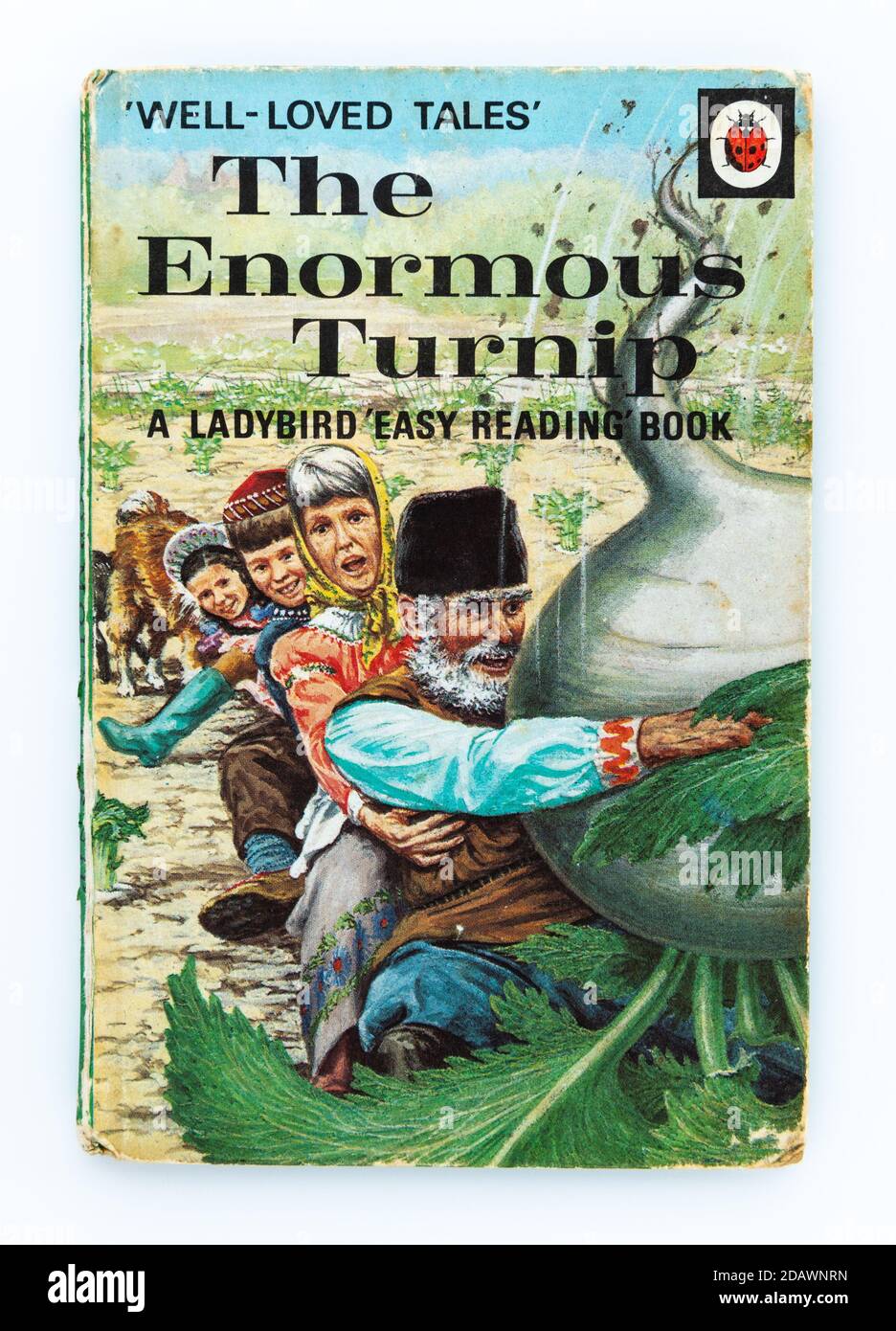 El enorme Turnip Ladybird libro de lectura fácil Foto de stock