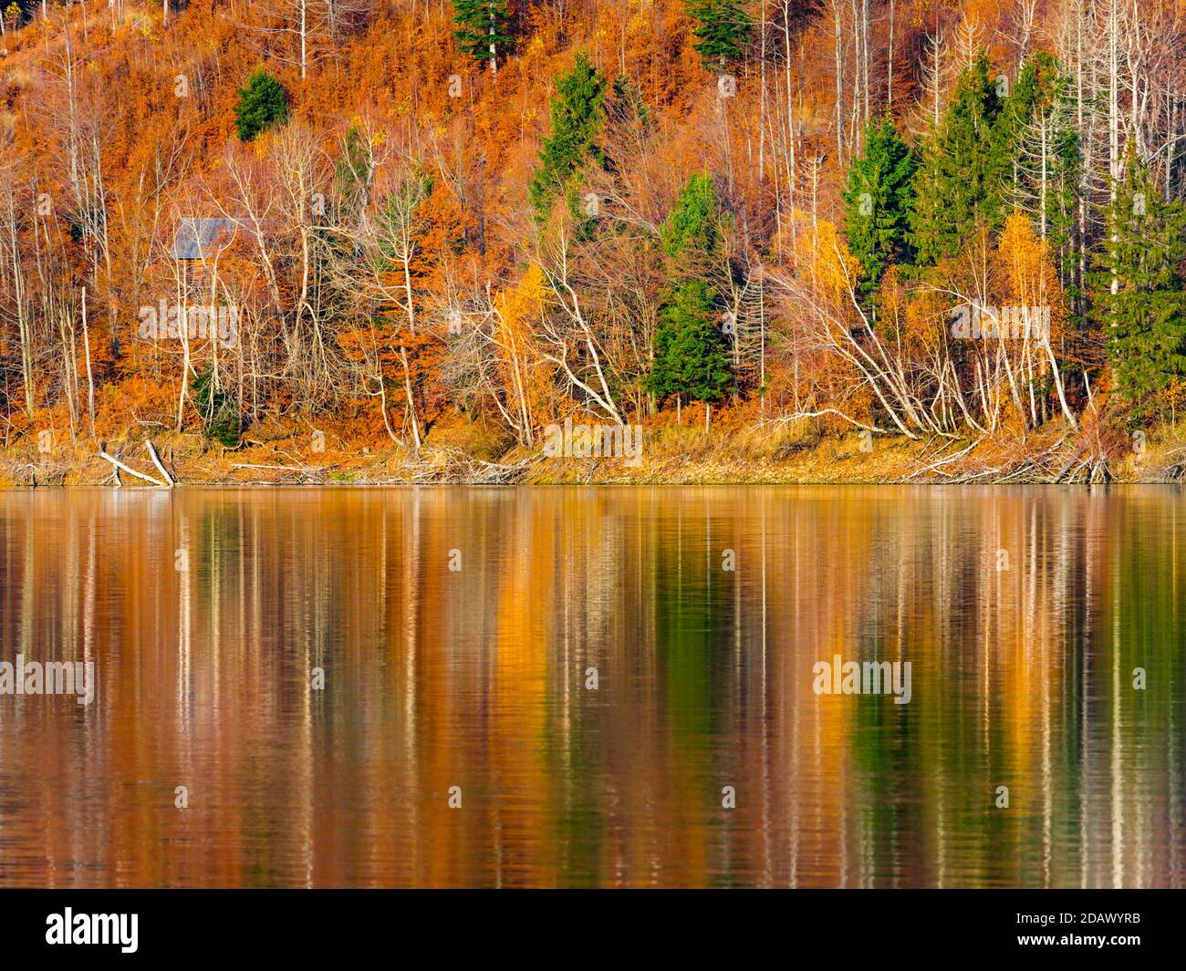 Espectaculares colores cálidos lago Autumnal reflexión Lokve lago Lokvarsko jezero En Croacia Europa Foto de stock