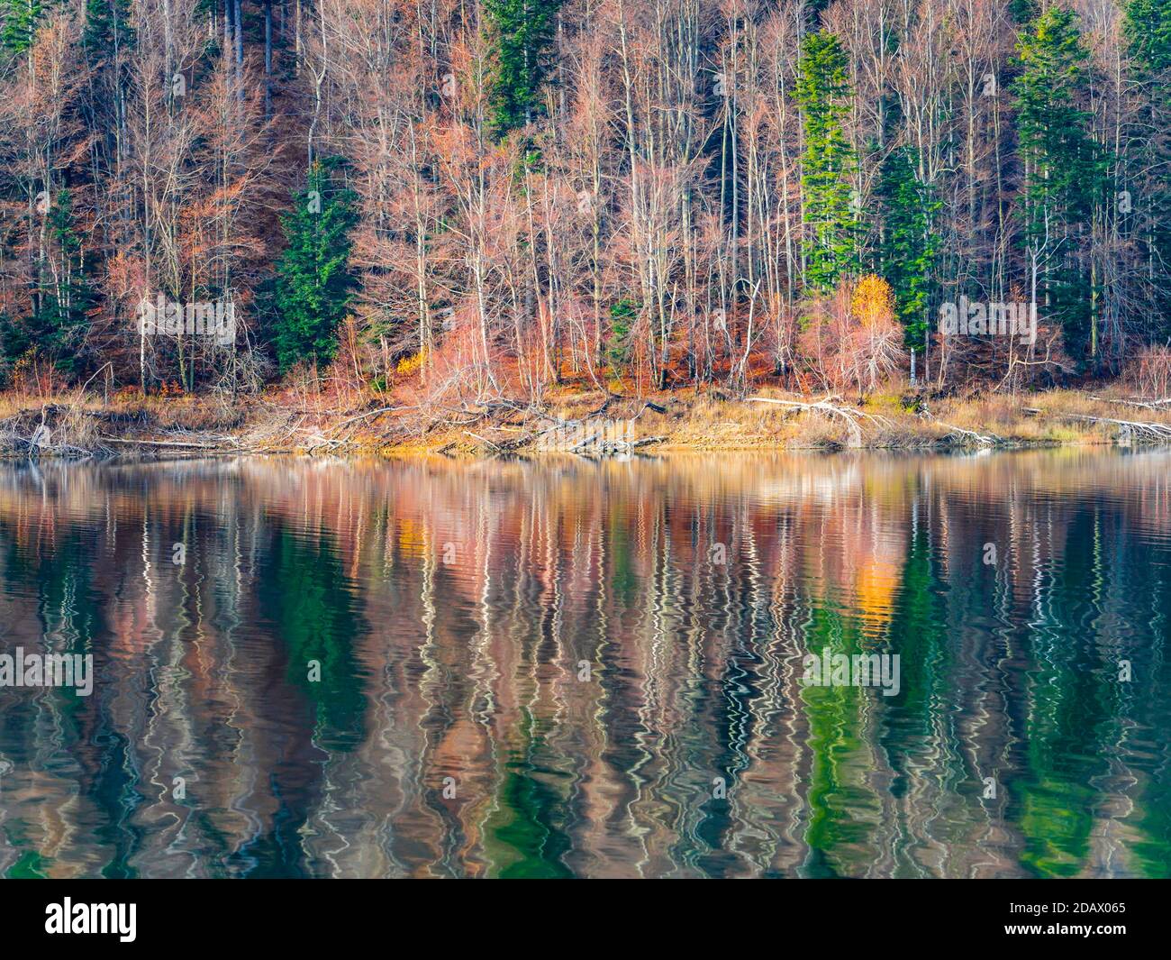 Precioso reflejo del lago otoñal tardío con un toque de la primera mañana Olas de goteo Lokve lago Lokvarsko jezero en Croacia Europa Foto de stock