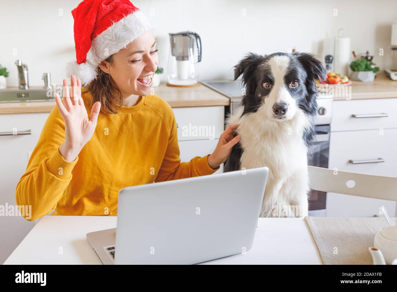 Perro y mujer llevando sombrero Santa agitando mano video llamando a la  familia por webcam. Chica con portátil que tiene reunión virtual chat en  vacaciones sentado en la cocina en casa. Feliz