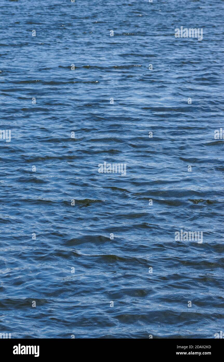 Ondulaciones sobre la superficie azul del agua en días ventosos Foto de stock