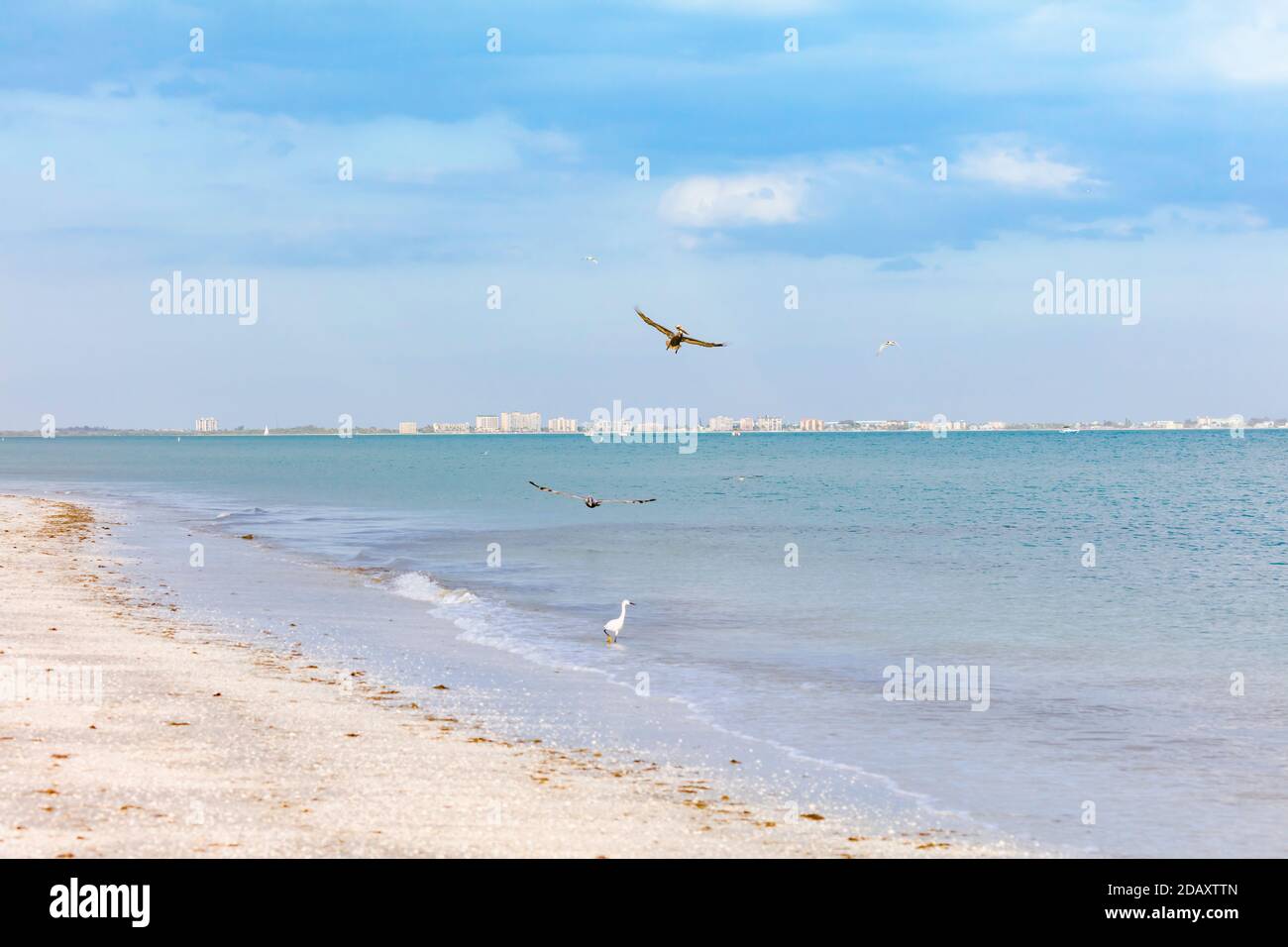 San Carlos Bay en el fondo Fort Myers Beach, vista desde Sanibel Island, Florida, Estados Unidos Foto de stock