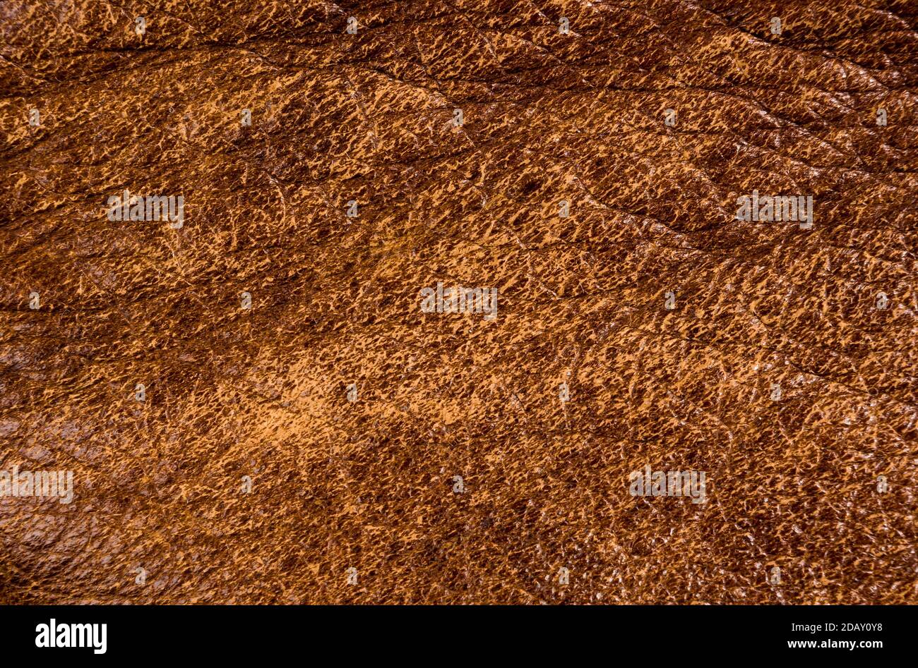 Old vintage genuino cuero marrón suave textura del fondo de la capa superior con poros y arañazos, macro Foto de stock