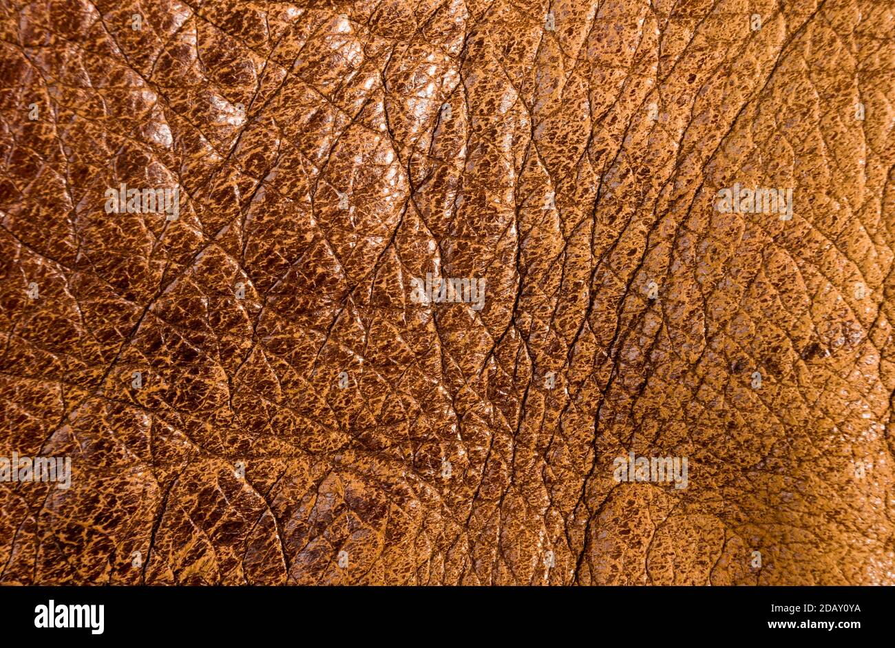 Old vintage genuino cuero marrón suave textura del fondo de la capa superior con poros y arañazos, macro Foto de stock