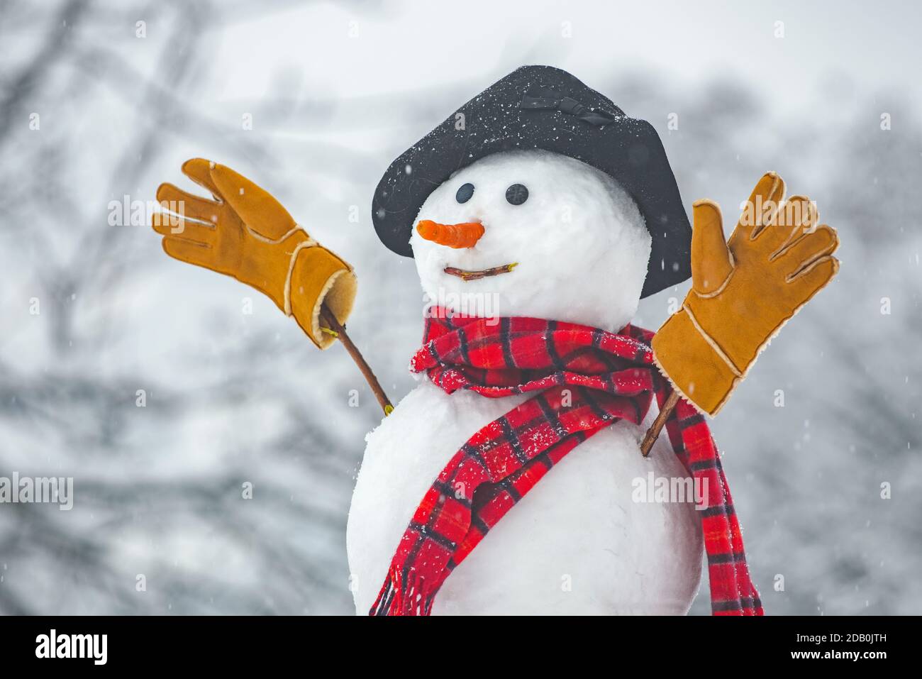 Feliz muñeco de nieve divertido en la nieve. Hombre de nieve en sombrero de  invierno. Muñeco de nieve al aire libre. Muñecos de nieve divertidos. Mono  muñeco de nieve en sombrero y