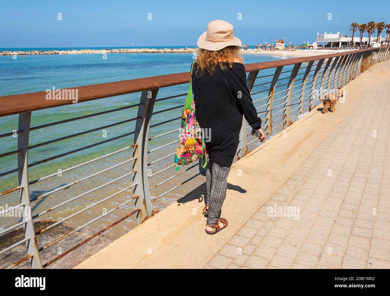Mujer que camina perro a lo largo del paseo marítimo de la playa en Tel Aviv, Israel en el soleado día de primavera. Vista posterior, persona irreconocible. Estilo de vida saludable israelí Foto de stock