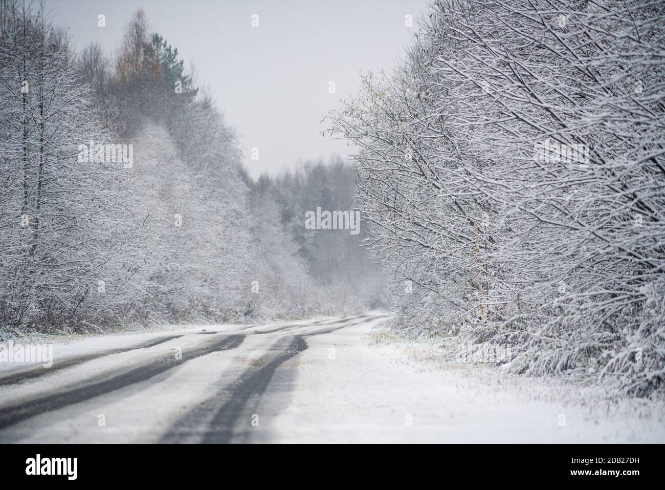 Camino a través del bosque de invierno Foto de stock