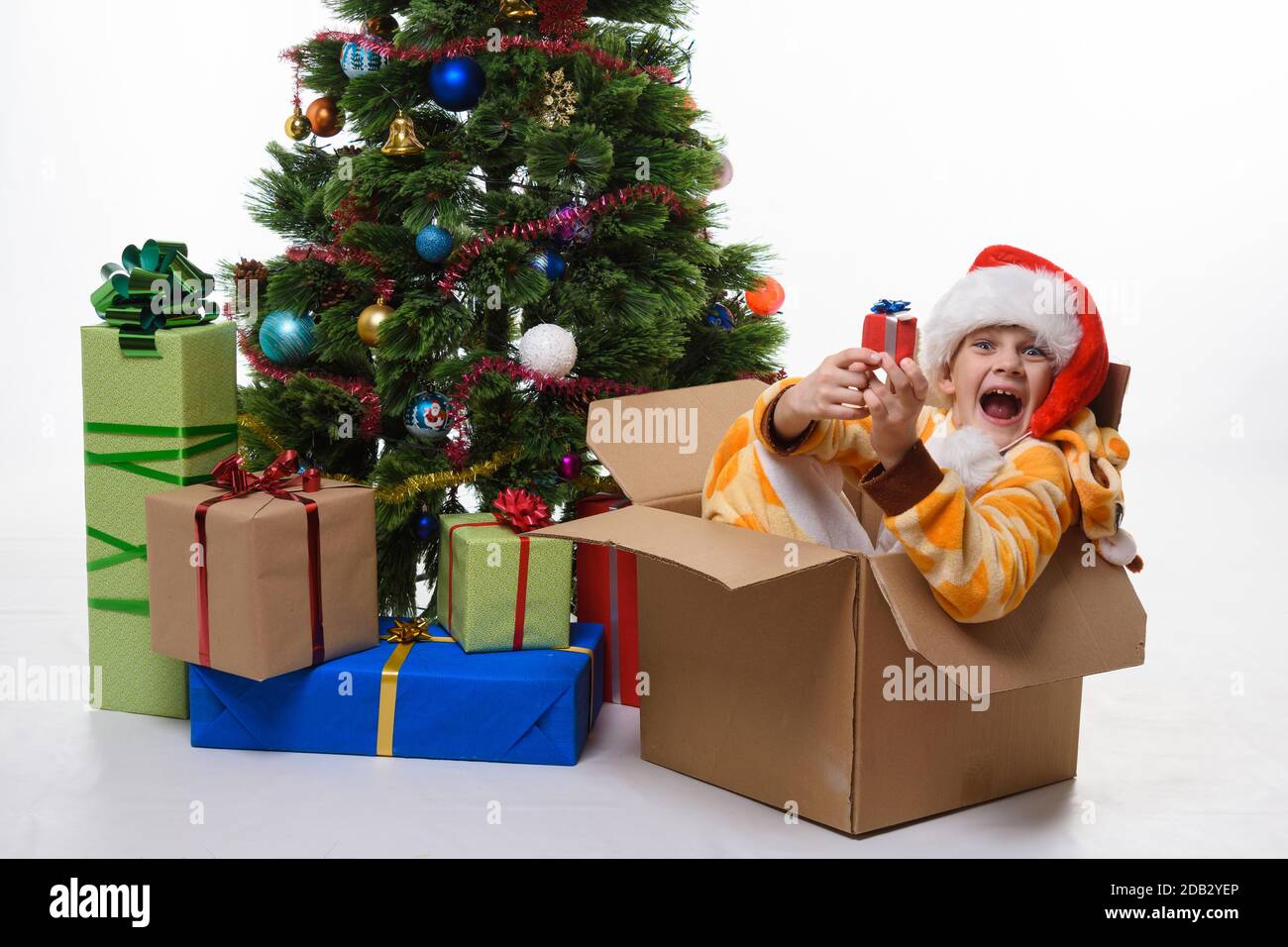 La chica se sienta en una caja de árboles de Navidad cerca del árbol de Navidad y mira alegremente en el marco Foto de stock