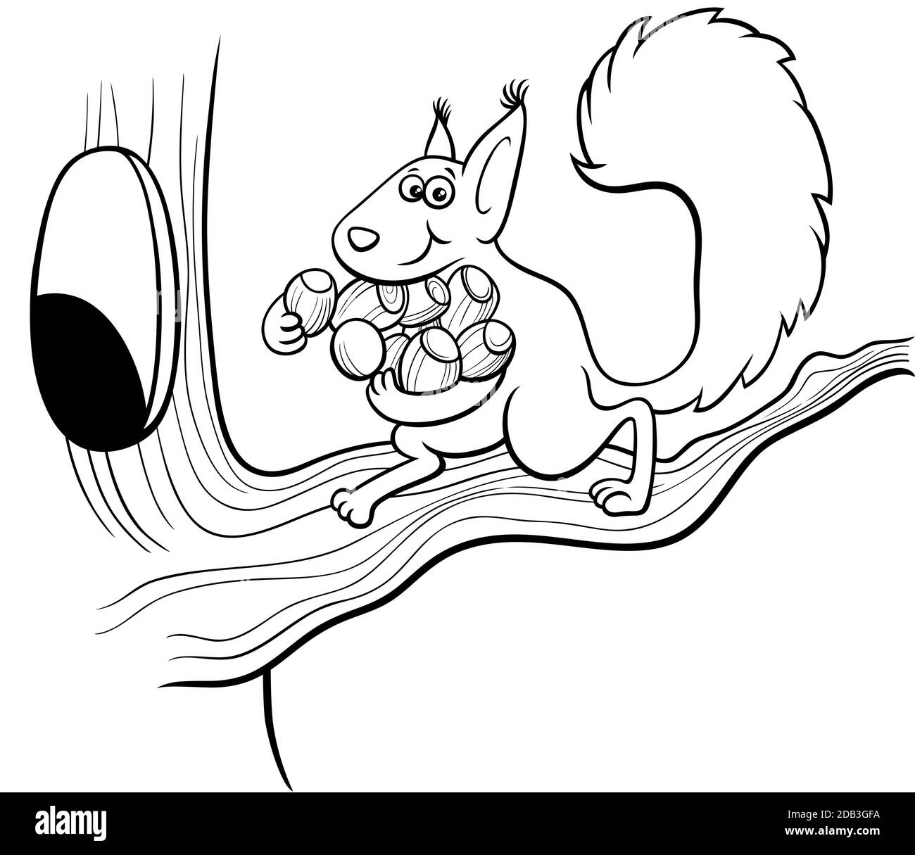 Dibujo de dibujos animados en blanco y negro de carácter animal ardilla divertido llevar bellotas al hueco en el libro de colores del árbol página Ilustración del Vector