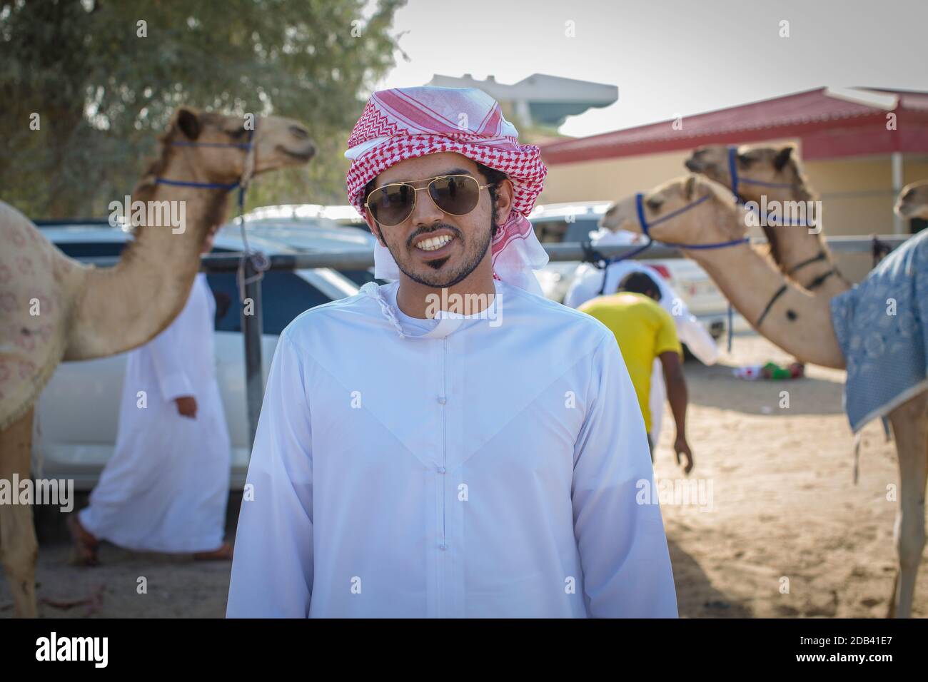 Emiratos Árabes Unidos / Al Dhaid / Camel propietario con sus camellos, cerca de la pista de carreras de camellos. Foto de stock
