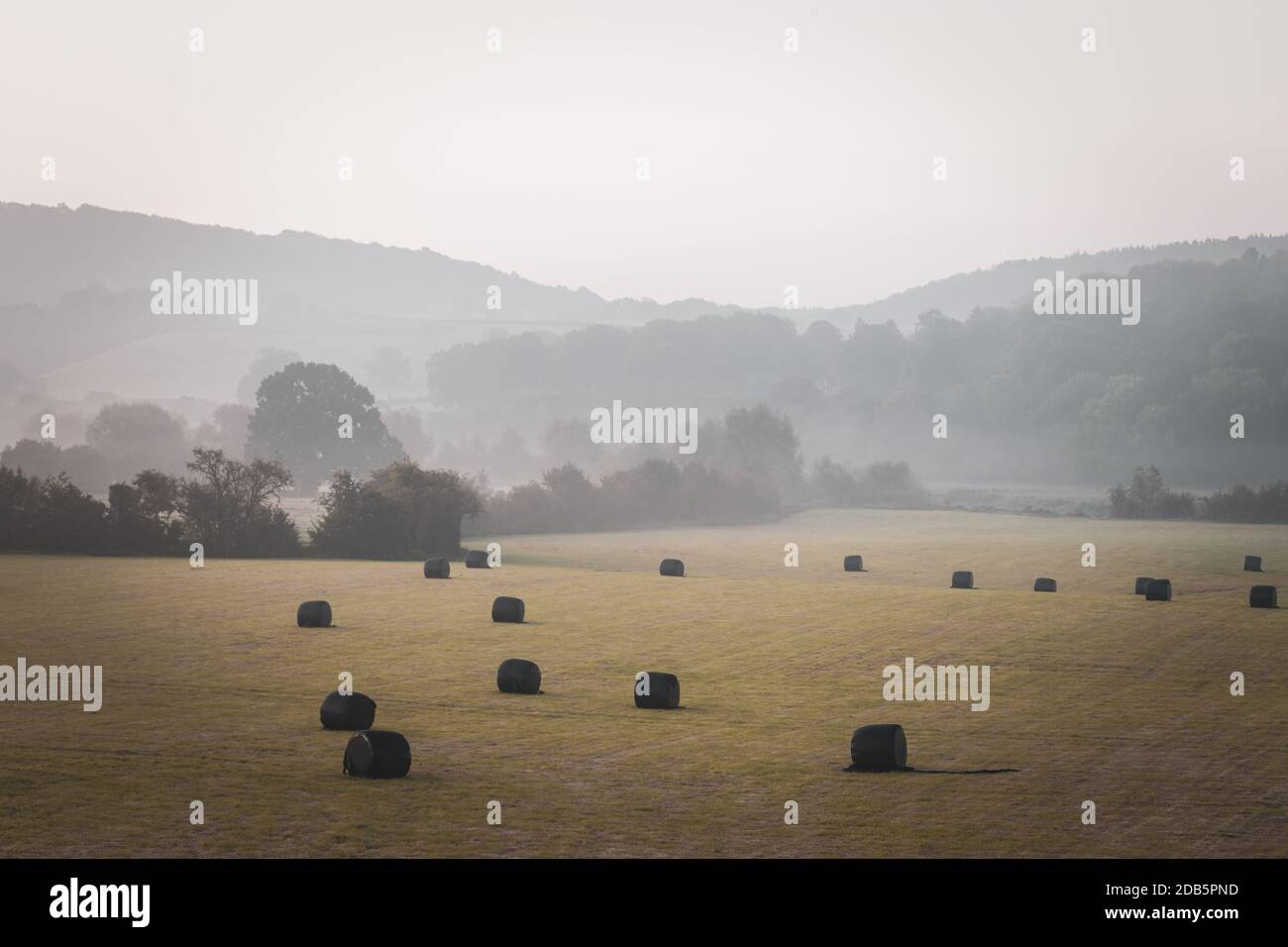 Campo agrícola con fardos de ensilaje en la mañana otoñal en Shropshire, Reino Unido Foto de stock