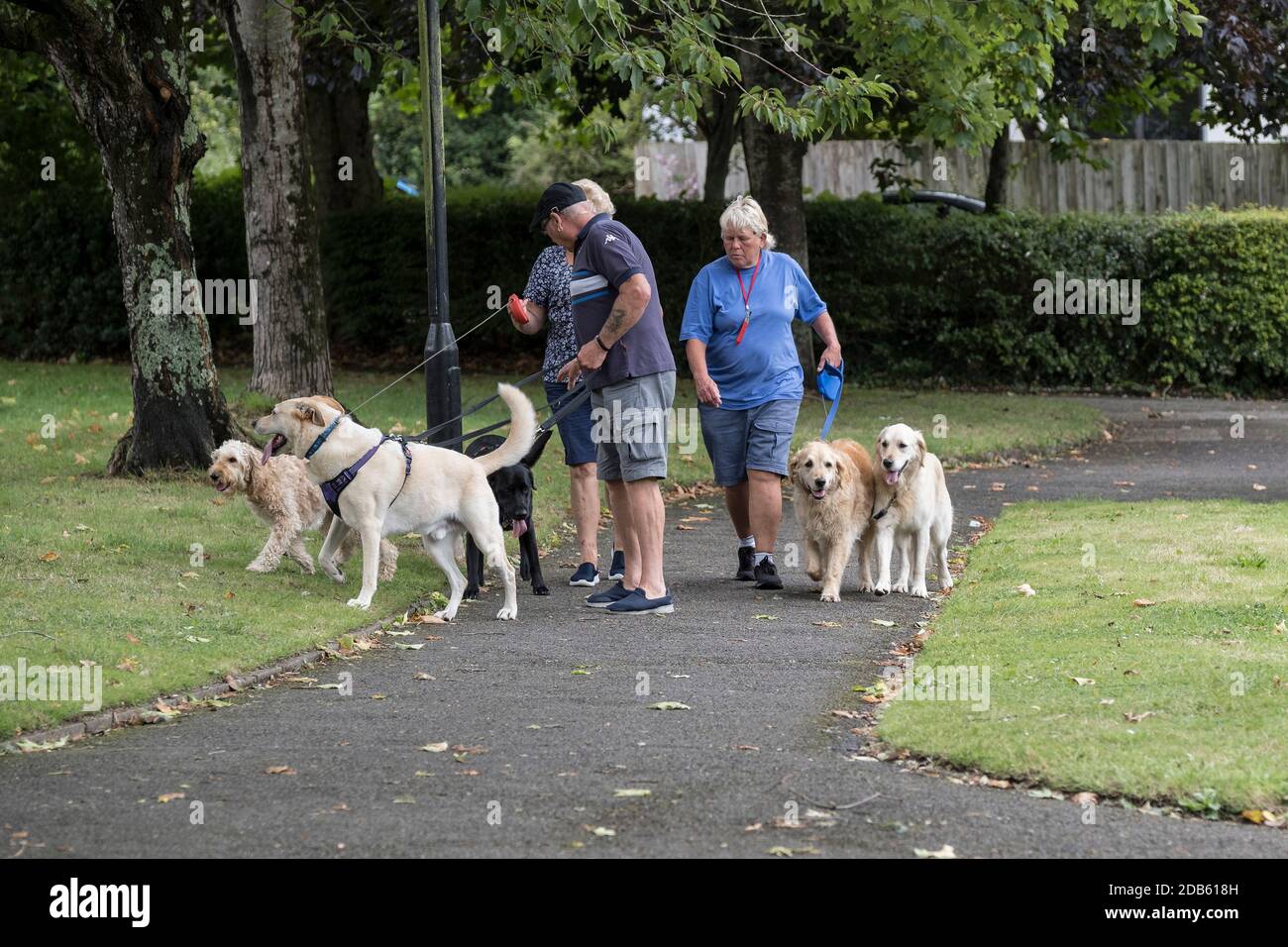 Caminantes de perros en Trenance Gardens en Newquay en Cornwall. Foto de stock