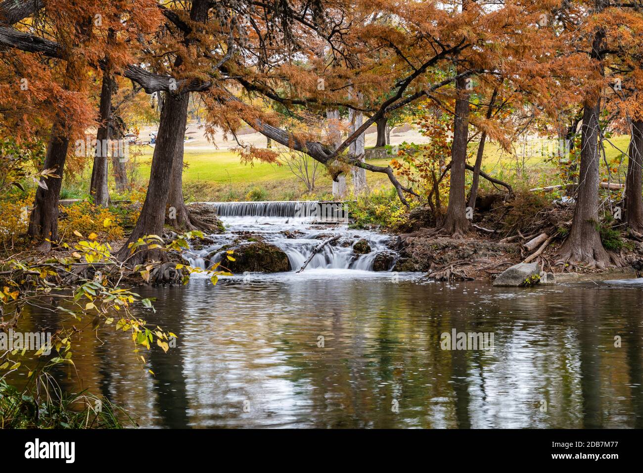 Colores de otoño en el Texas Hill Country Foto de stock