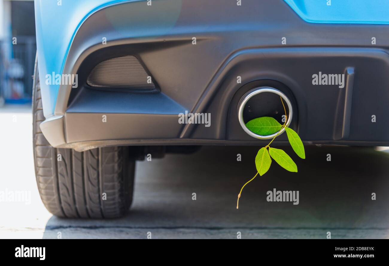 Eco eléctrico híbrido coche concepto medioambiental de la hoja verde en el silenciador de escape el consumo eficiente de combustible en lugar de humo puede ayudar a detener el dióxido de carbono Foto de stock