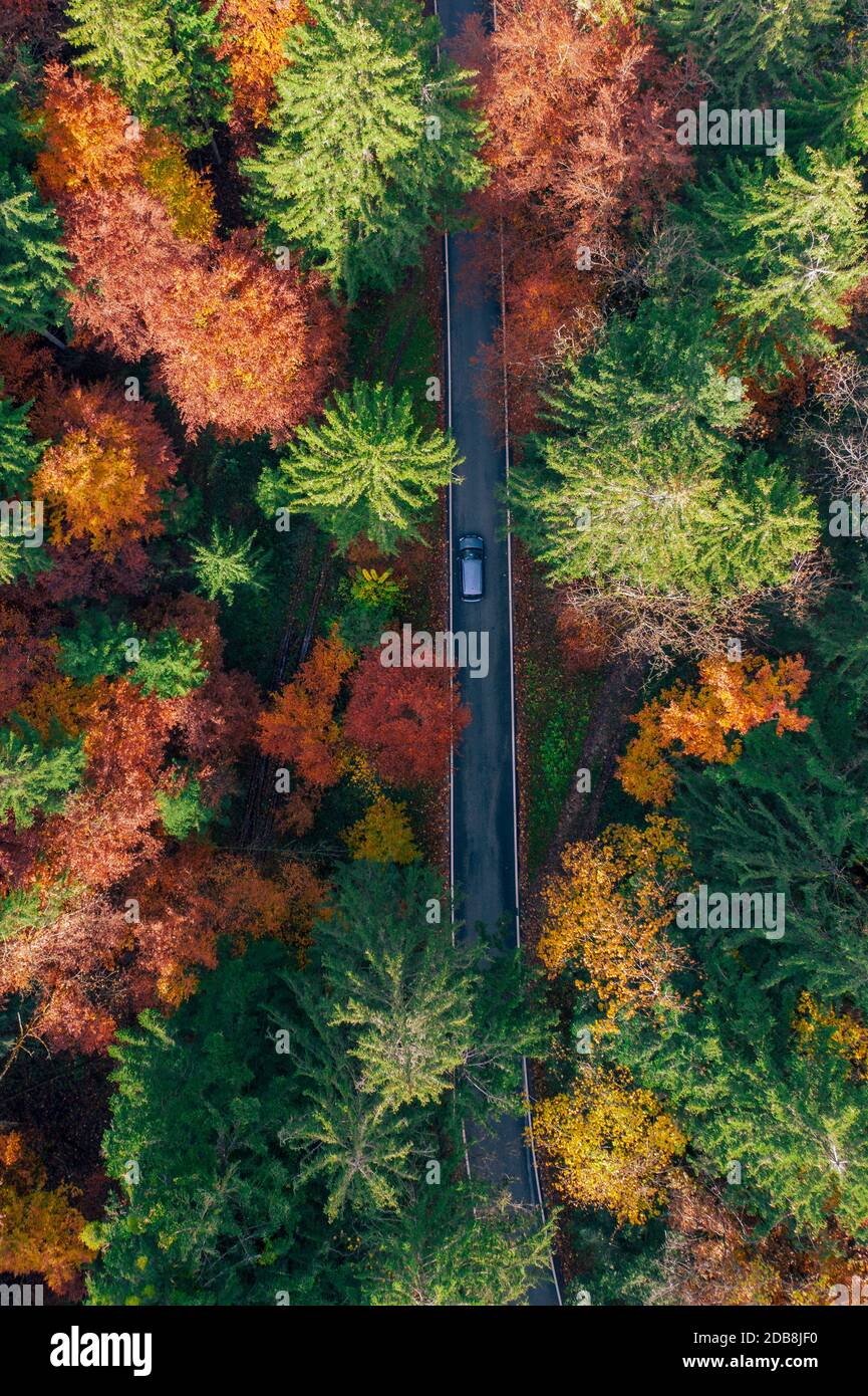 Foto aérea de un coche que recorre un bosque otoñal, Austria Foto de stock