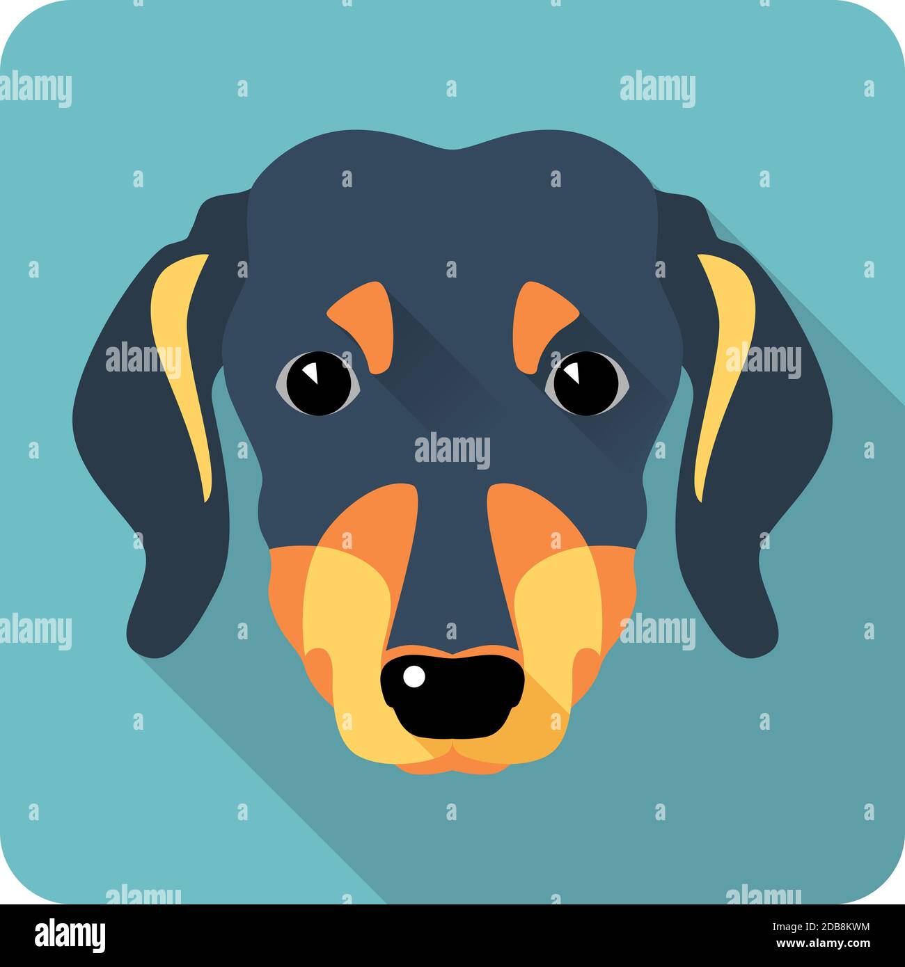 perro dachshund icono de diseño plano Foto de stock