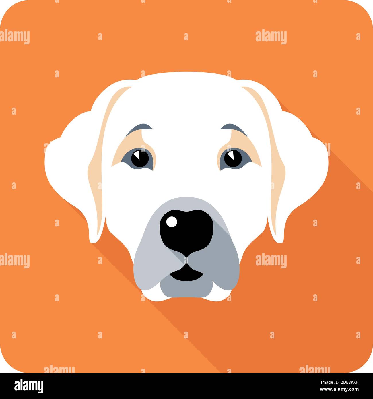 Perro Labrador Retriever icono de diseño plano Foto de stock