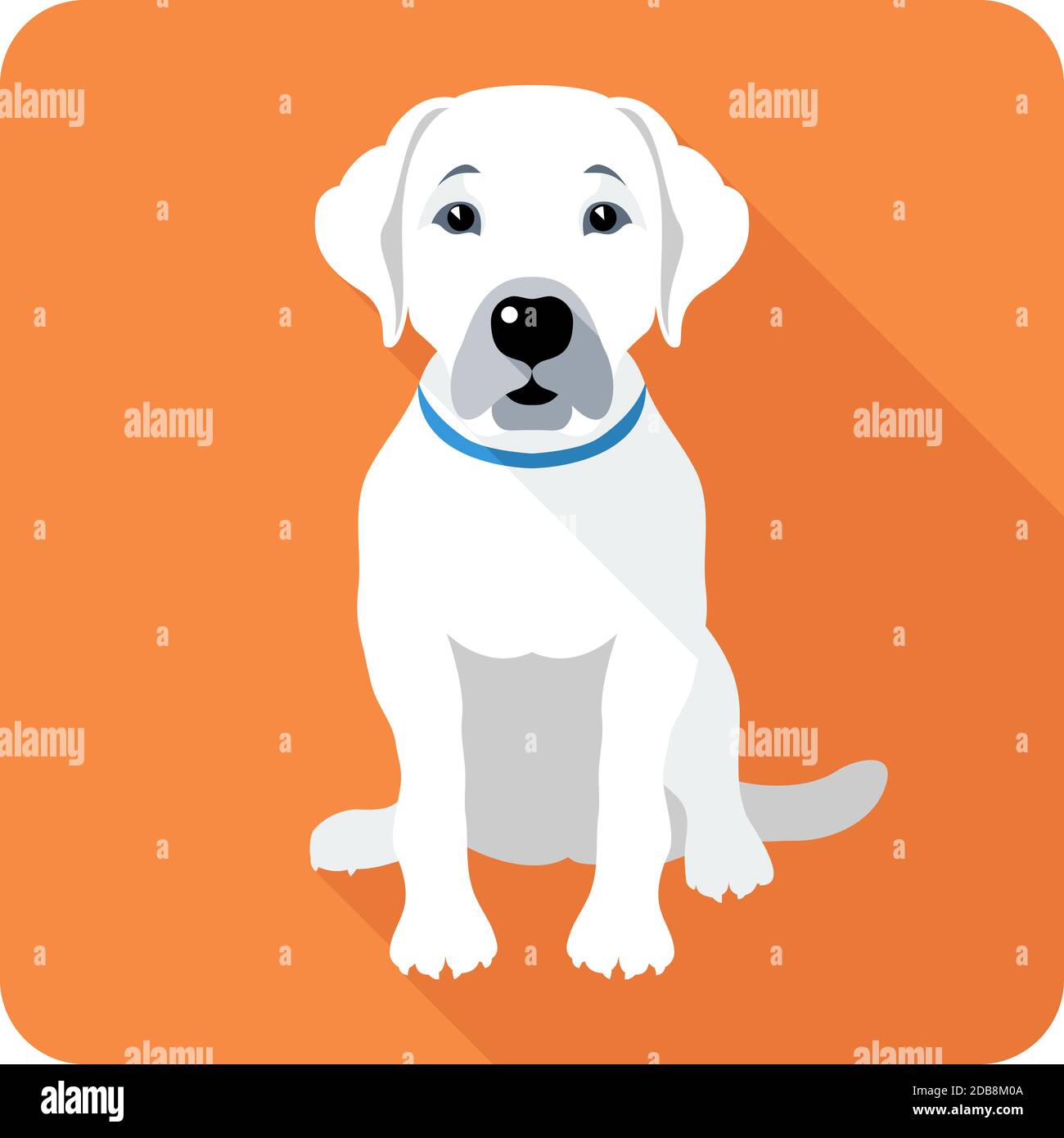 Perro Labrador Retriever sentado icono de diseño plano Foto de stock