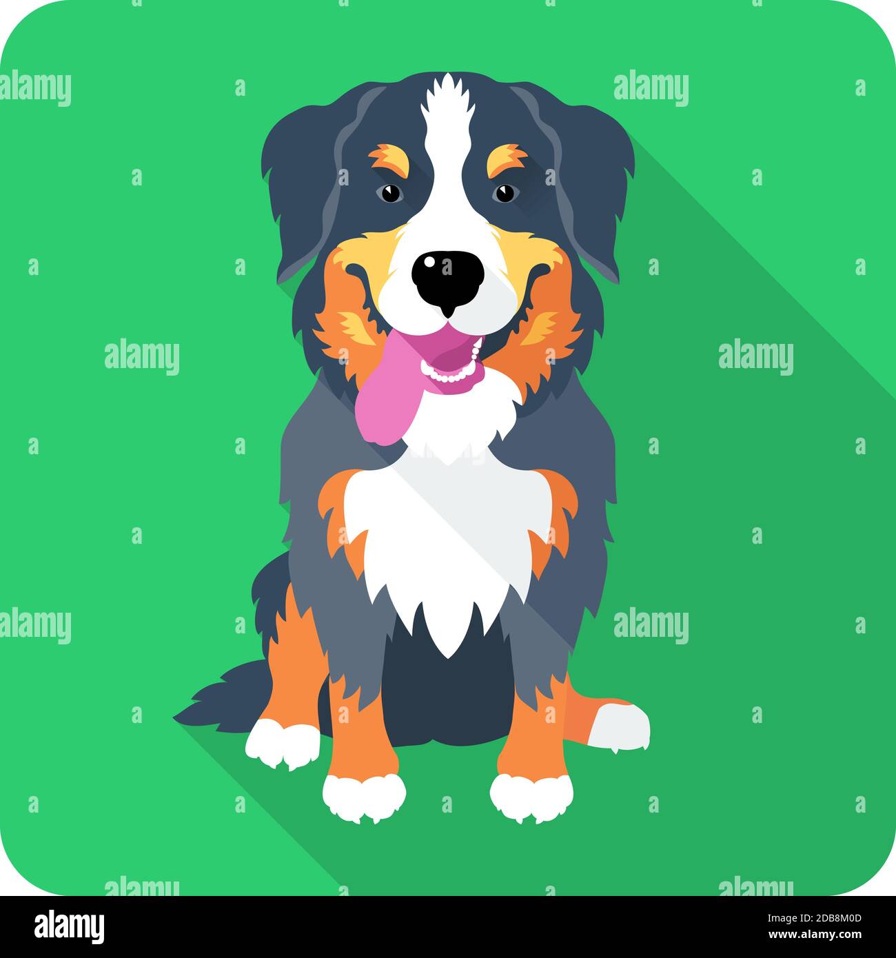 Perro Bernese Montaña Perro sentado icono de diseño plano Foto de stock