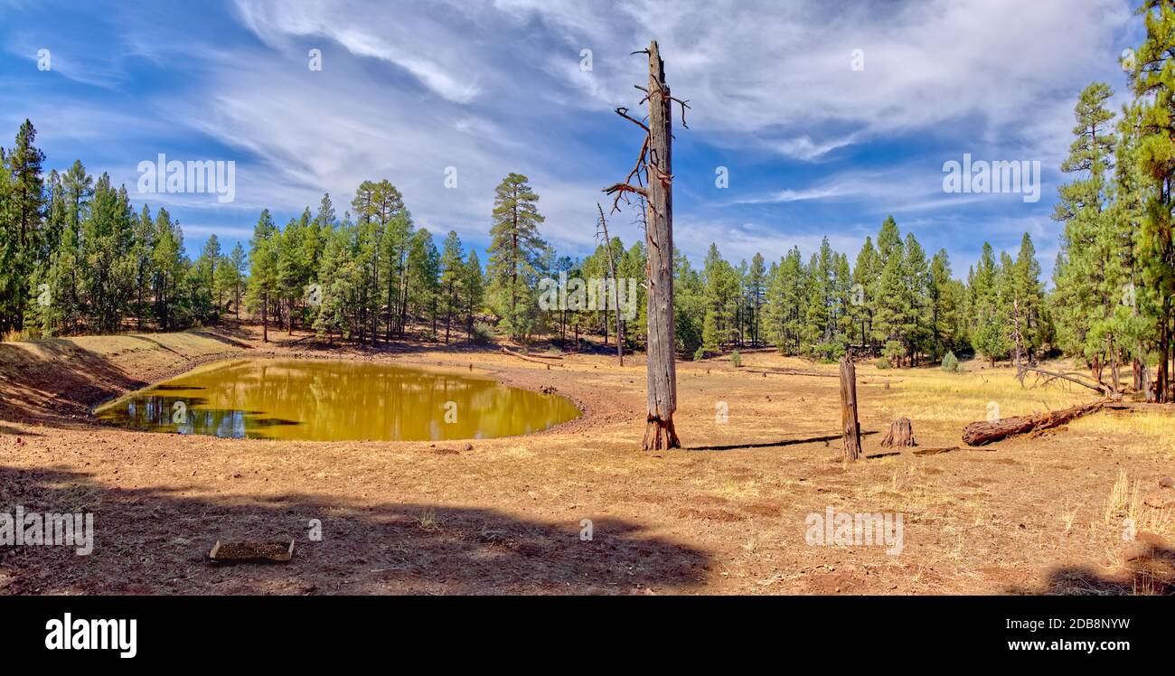 Dutch Kid Tank, Kaibab National Forest, Arizona, EE.UU Foto de stock