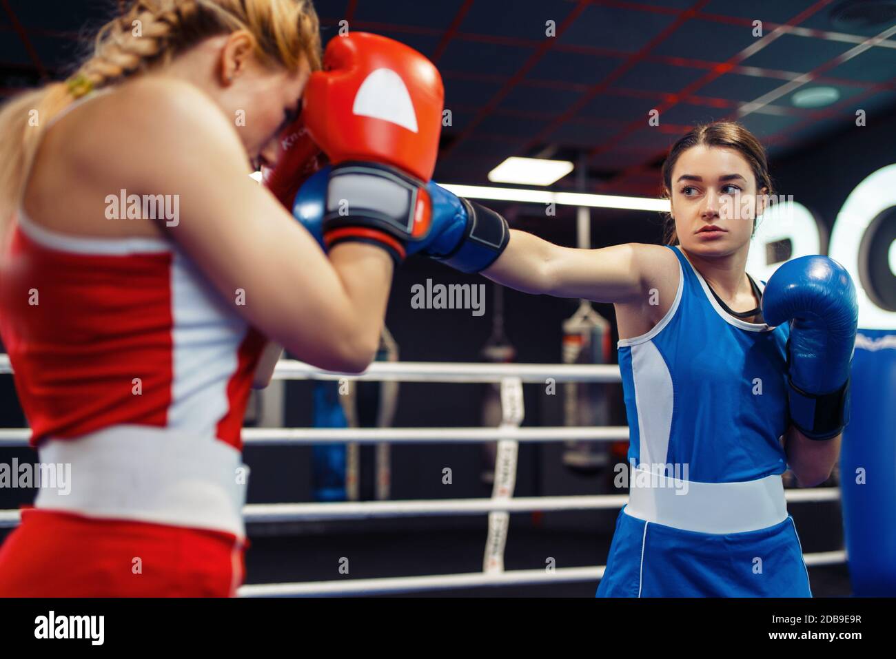 Mujeres en guantes boxeo en el anillo, boxeo entrenamiento. Boxeadores femeninos en el gimnasio, kickboxing sparring socios en el club deportivo, la práctica de punches Foto de stock