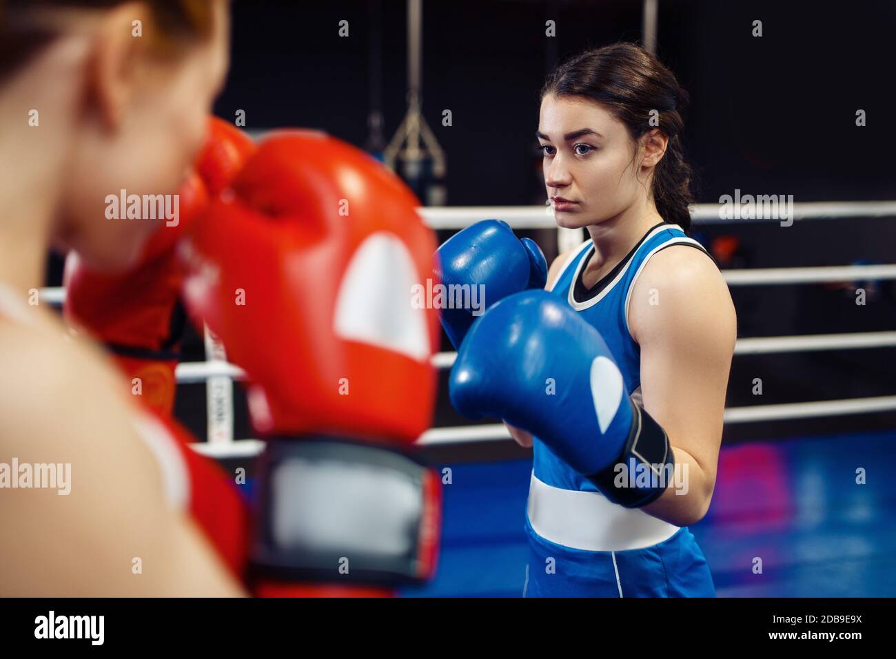 Mujeres en guantes boxeo en el anillo, boxeo entrenamiento. Boxeadores femeninos en el gimnasio, kickboxing sparring socios en el club deportivo, la práctica de punches Foto de stock