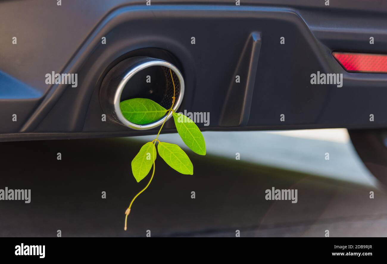 Eco eléctrico híbrido coche concepto medioambiental de la hoja verde en el silenciador de escape el consumo eficiente de combustible en lugar de humo puede ayudar a detener el dióxido de carbono Foto de stock