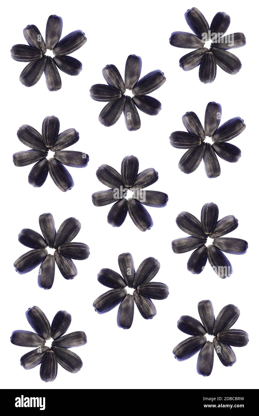 Semillas de girasol flor Patrón. Antecedentes aislados. Textura detallada. Primer plano macro. Orientación vertical póster. Foto de stock